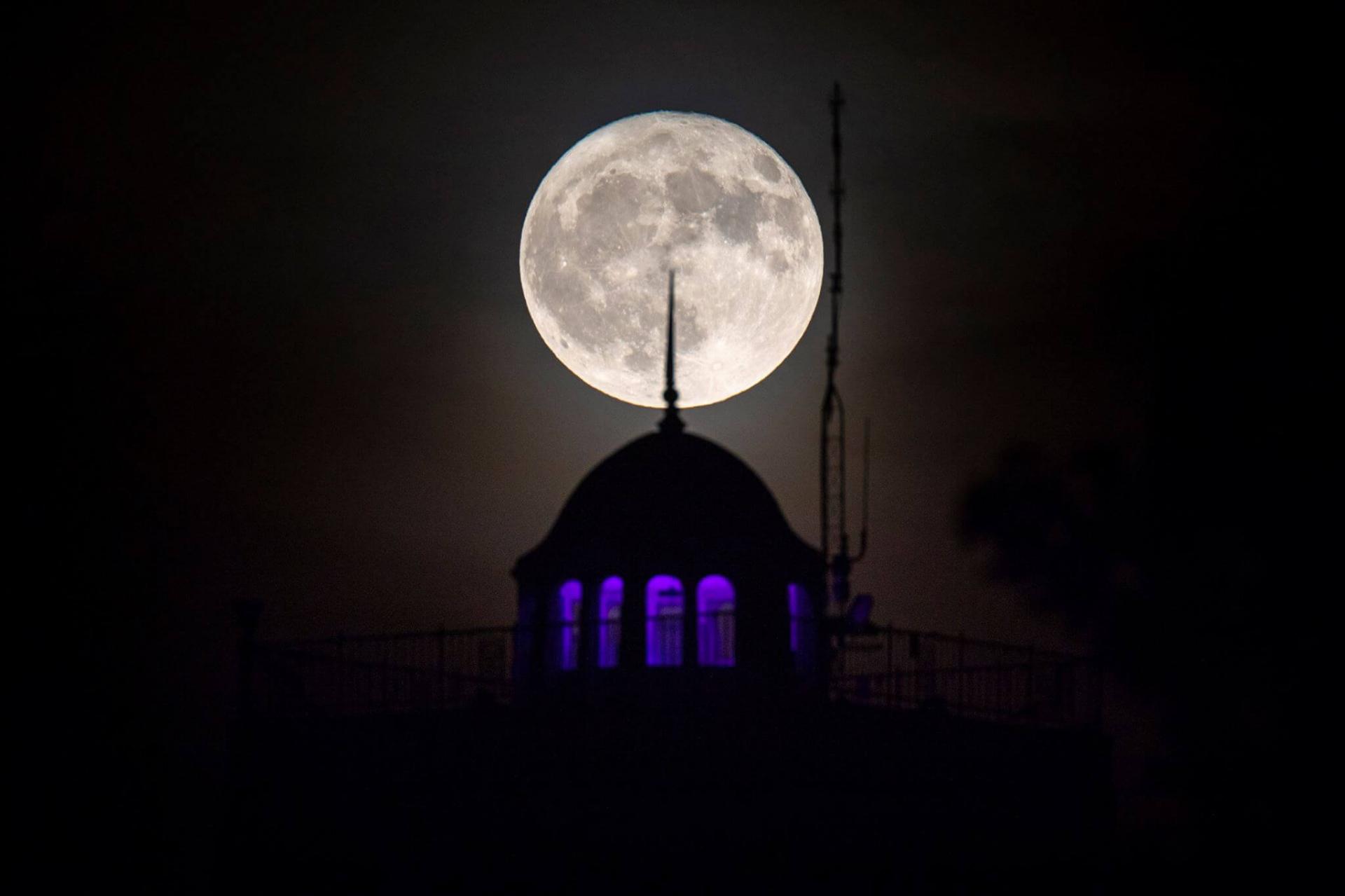 Moon & Whitcomb photo by Joshua Nowicki