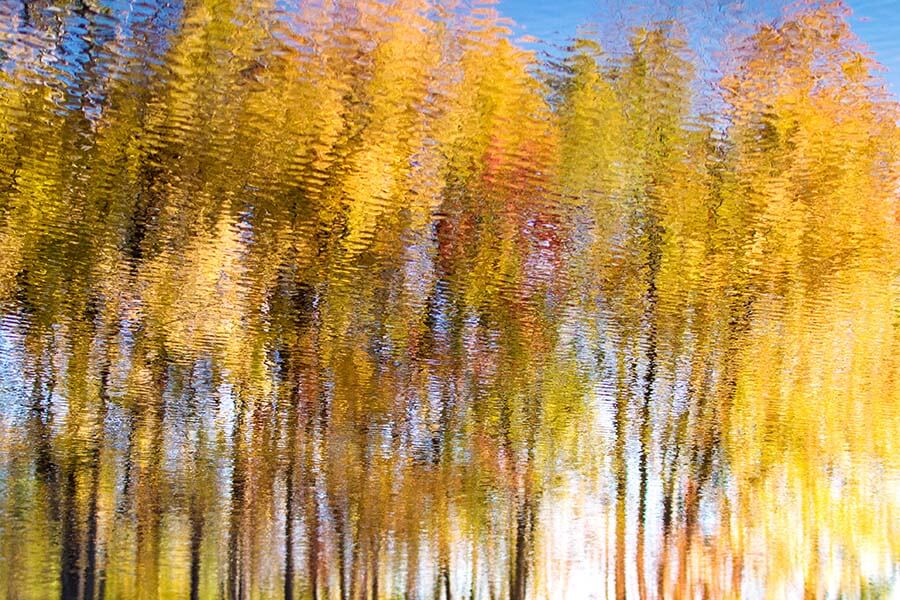Fall Color Reflection in Water Photo Joshua Nowicki