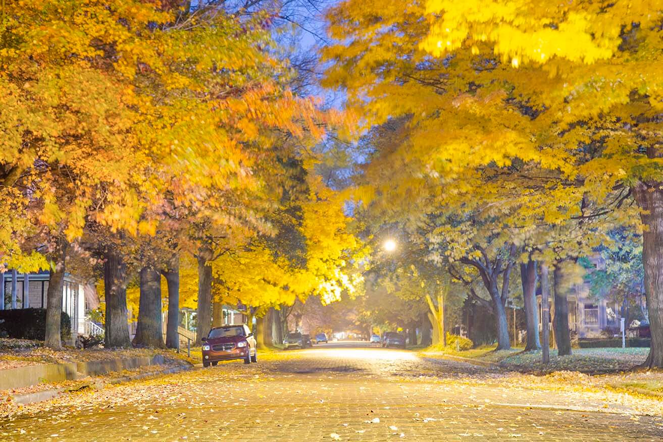 Fall Color at Blue Hour Photo Joshua Nowicki