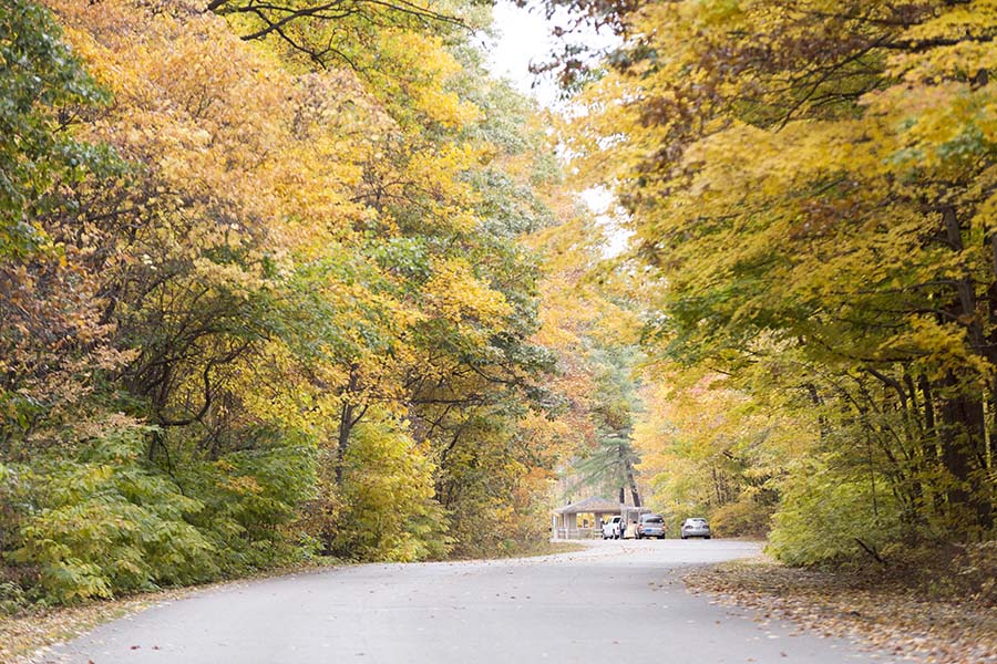 Fall Warren Dunes State Park - Campground