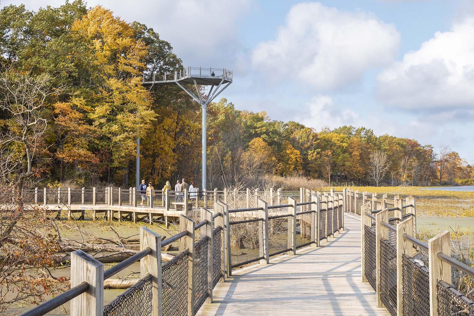 Wooden walkway at Galien River County Park.