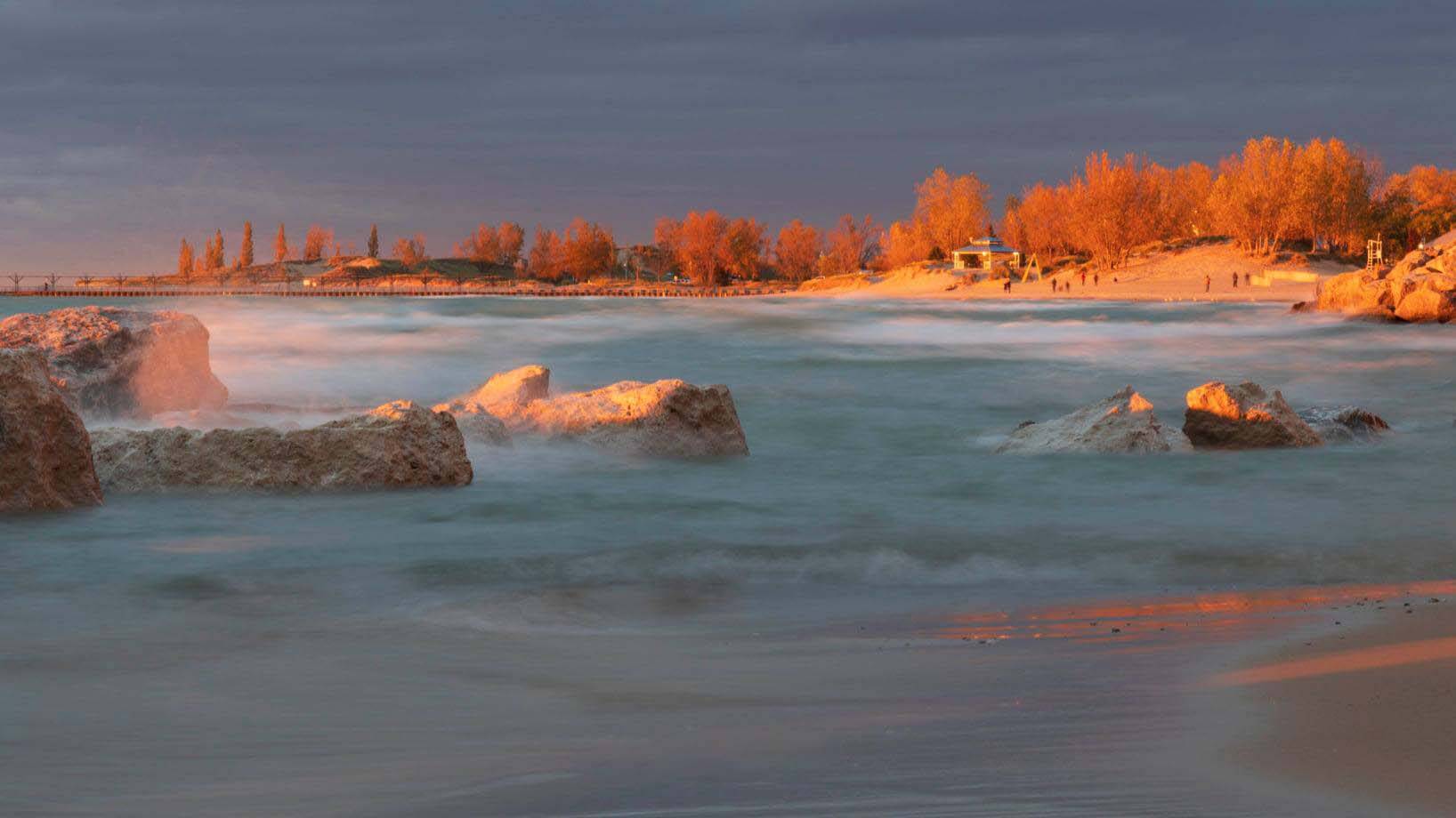 Golden Hour Trees at Silver Beach